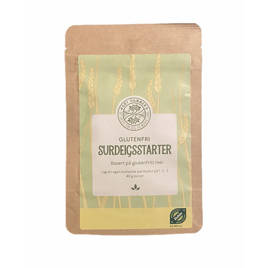 Gry Hammer glutenfri surdeigsstrater 40 g