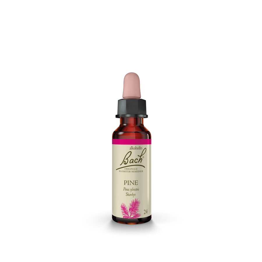 Bach remedy pine 10 ml