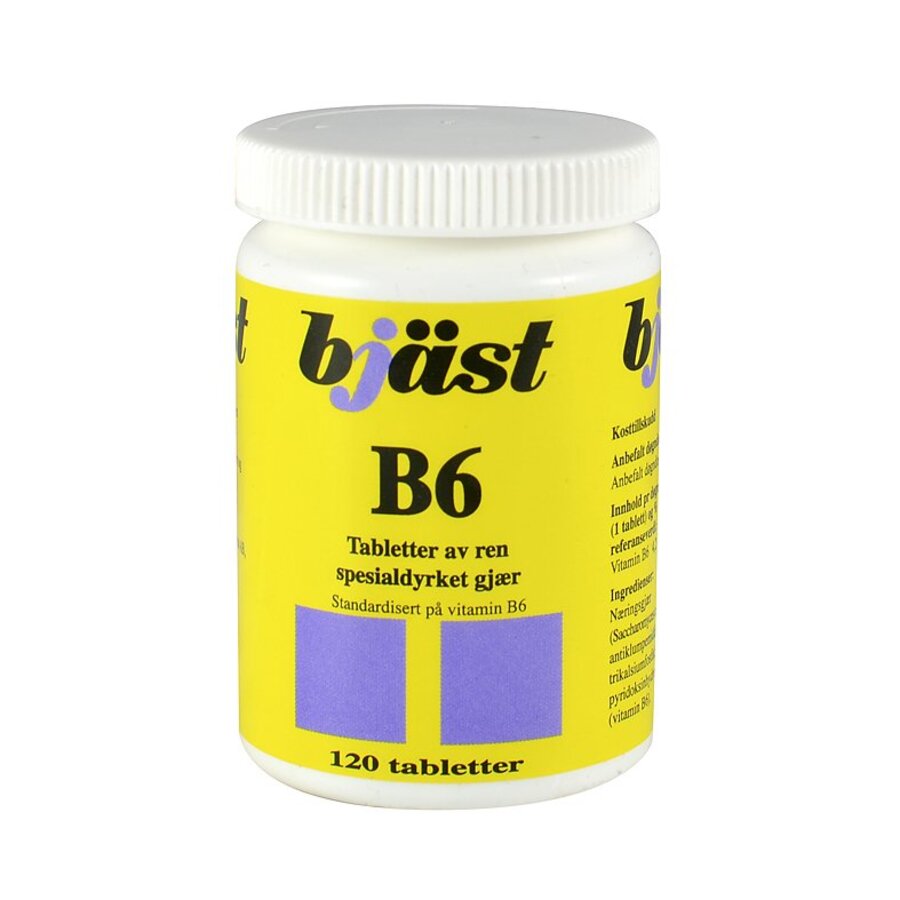 Bjæst B6 120 tab