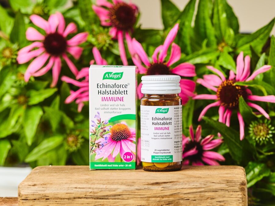 Vogel Echinaforce Immune Halstablett 20 tab