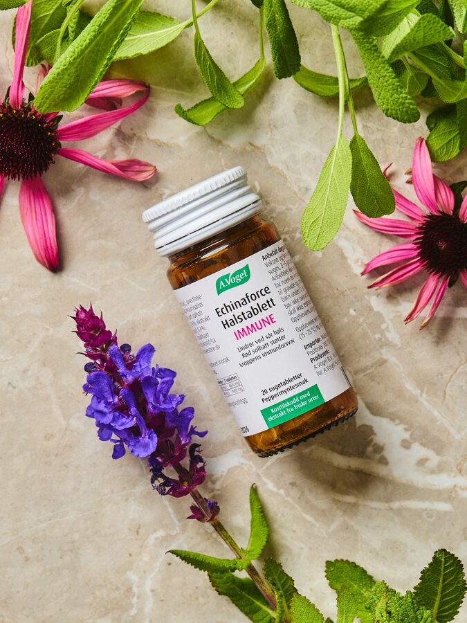 Vogel Echinaforce Immune Halstablett 20 tab
