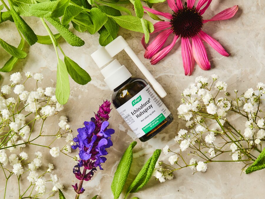 A.Vogel echinaforce halsspray 30 ml