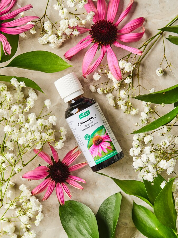 A.Vogel echinaforce 50 ml