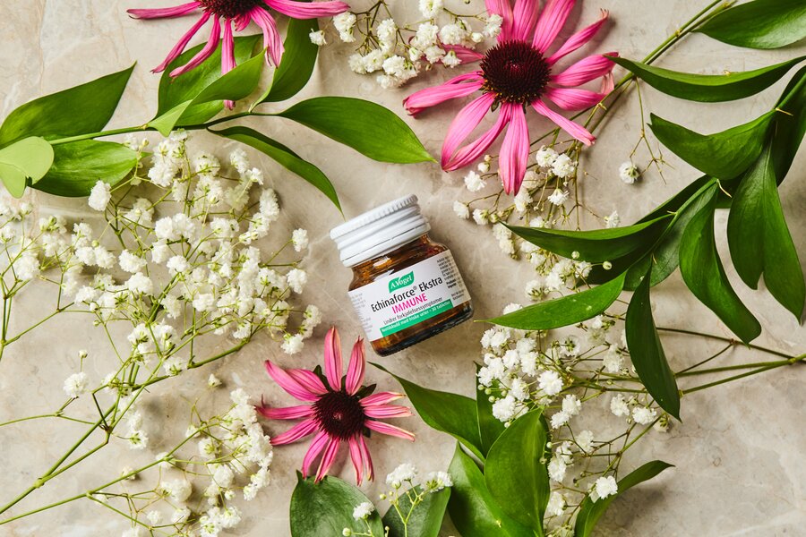 A. Vogel echinaforce ekstra immune 30 tab