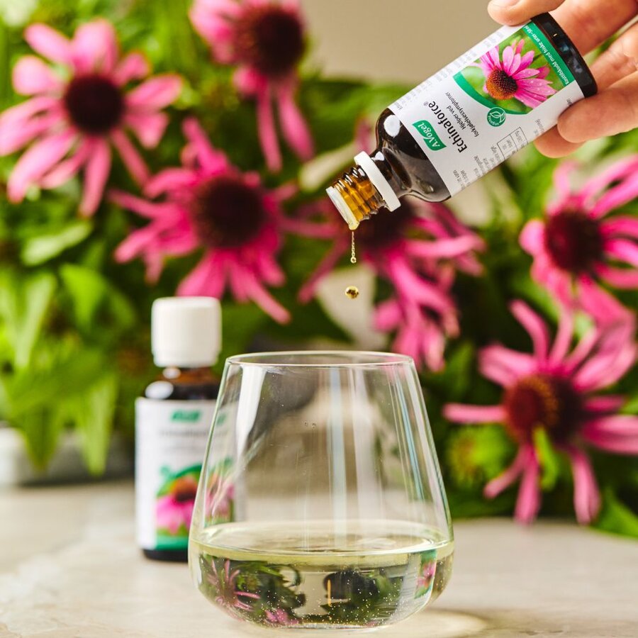 A.Vogel echinaforce 50 ml