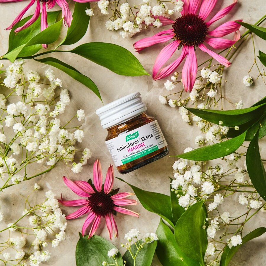 A. Vogel echinaforce ekstra immune 30 tab