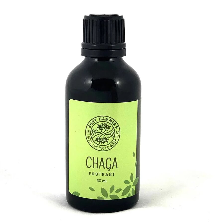 Gry Hammer chaga ekstrakt 50 ml