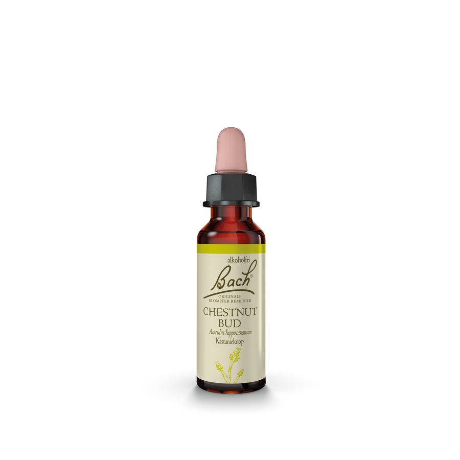 Bach remedy chestnut bud 10 ml