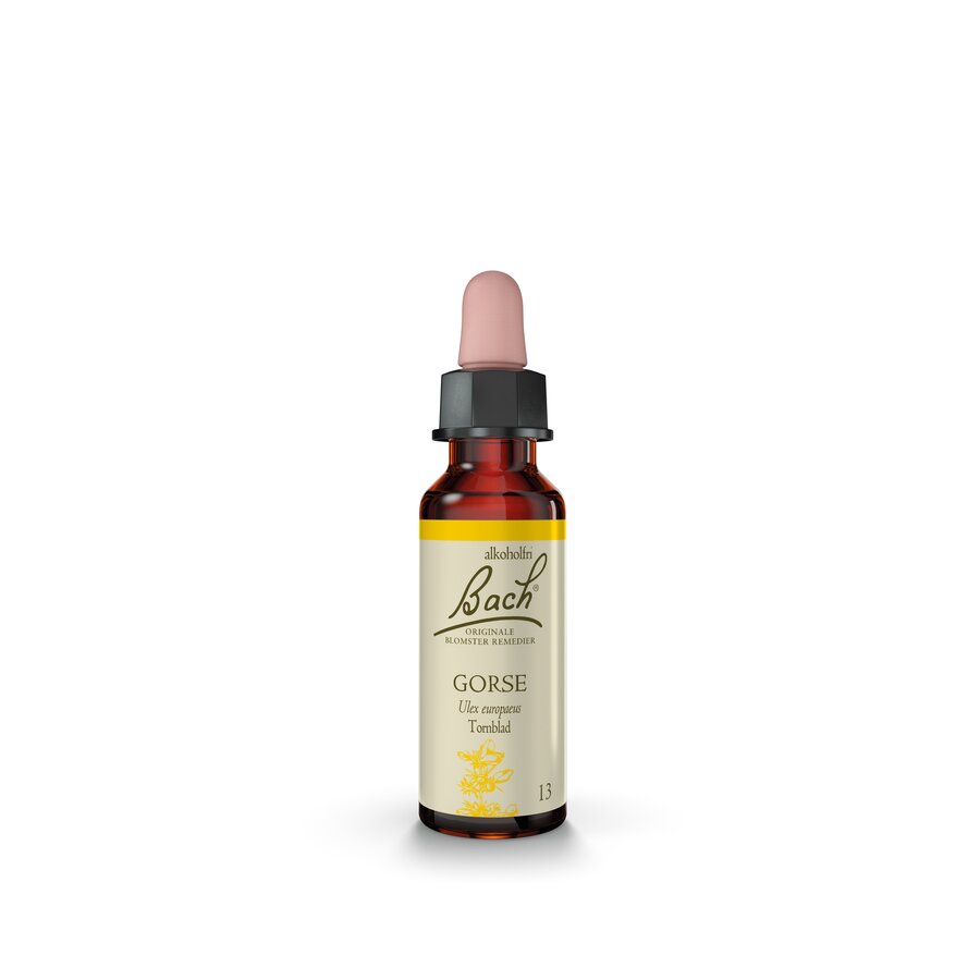 Bach remedy gorse 10 ml