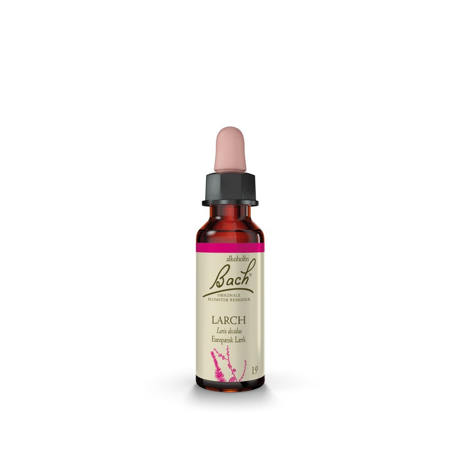 Bach remedy larch 10 ml