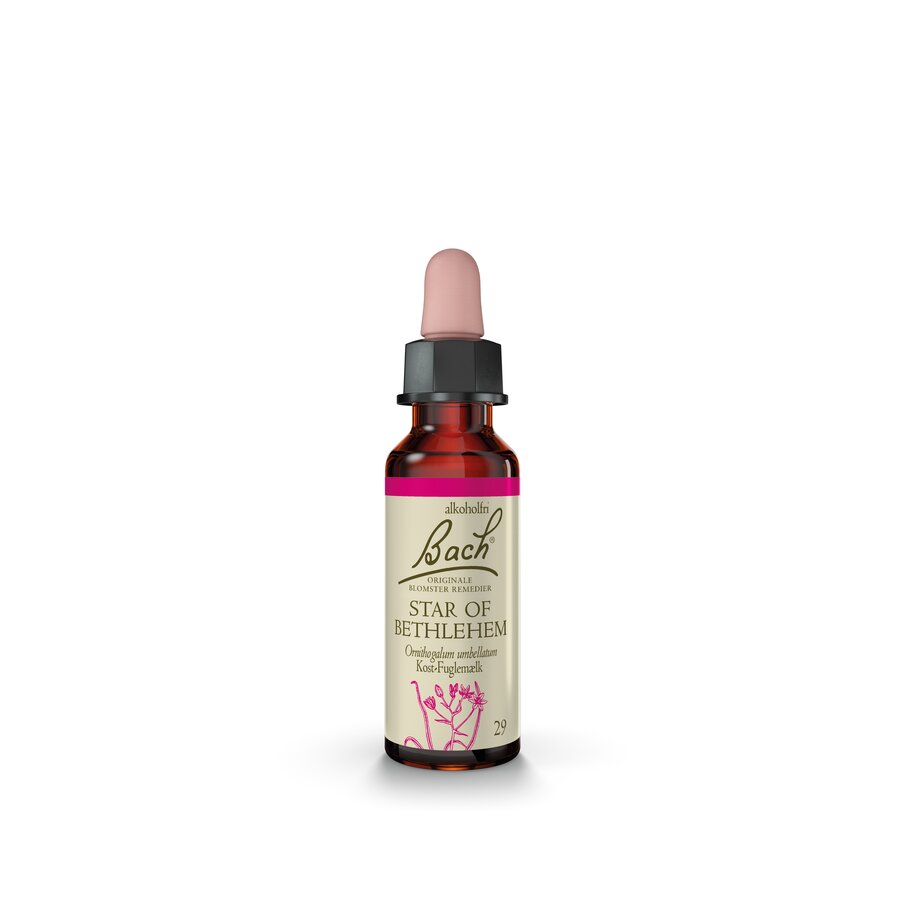 Bach remedy star of bethlehem 10 ml