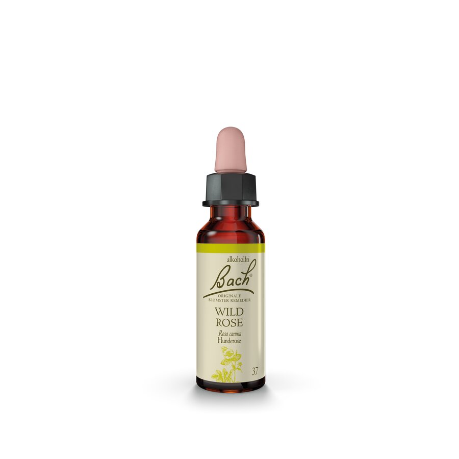Bach remedy wild rose 10 ml