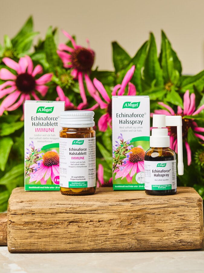 Vogel Echinaforce Immune Halstablett 20 tab