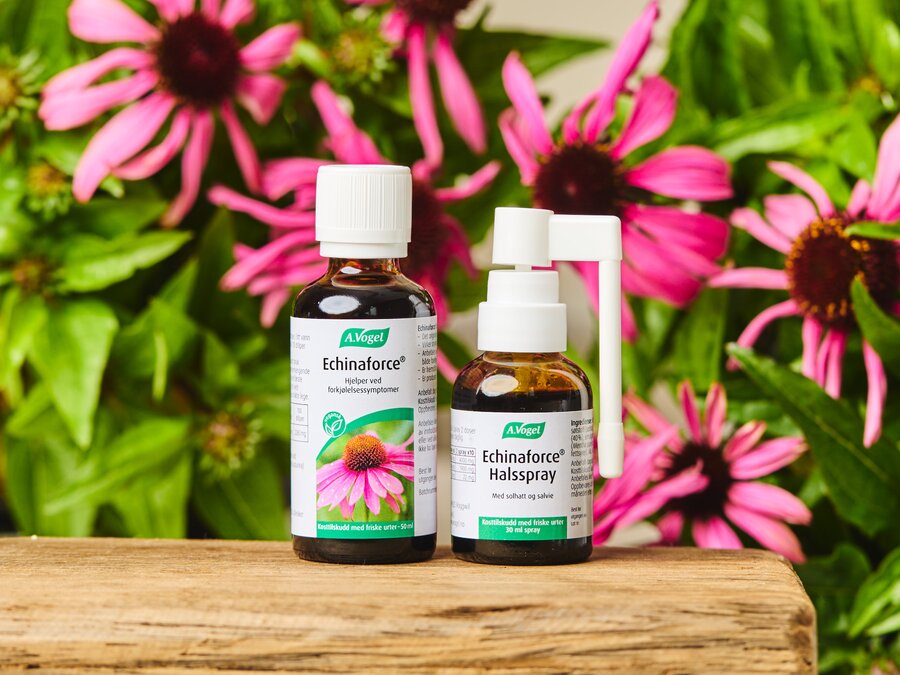 A.Vogel echinaforce halsspray 30 ml