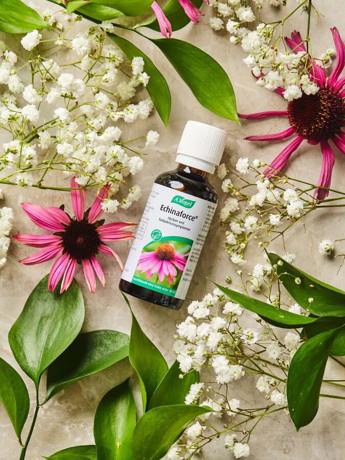 A.Vogel echinaforce 50 ml