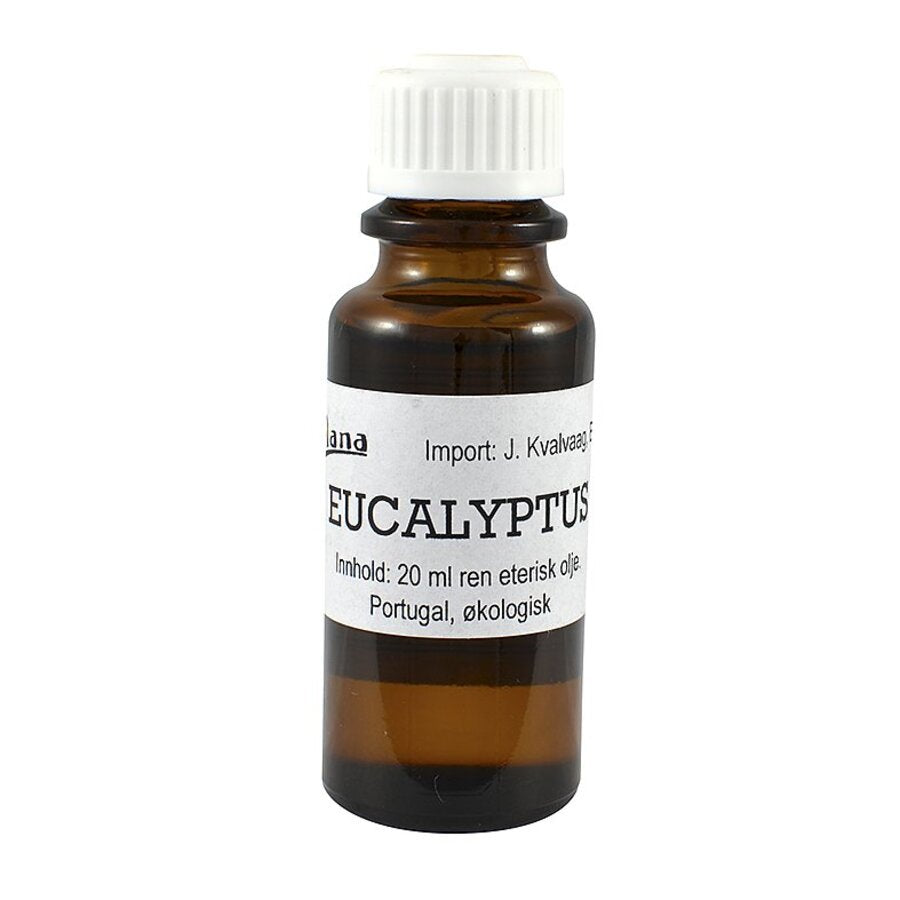 Celana eucalyptus olje 20 ml