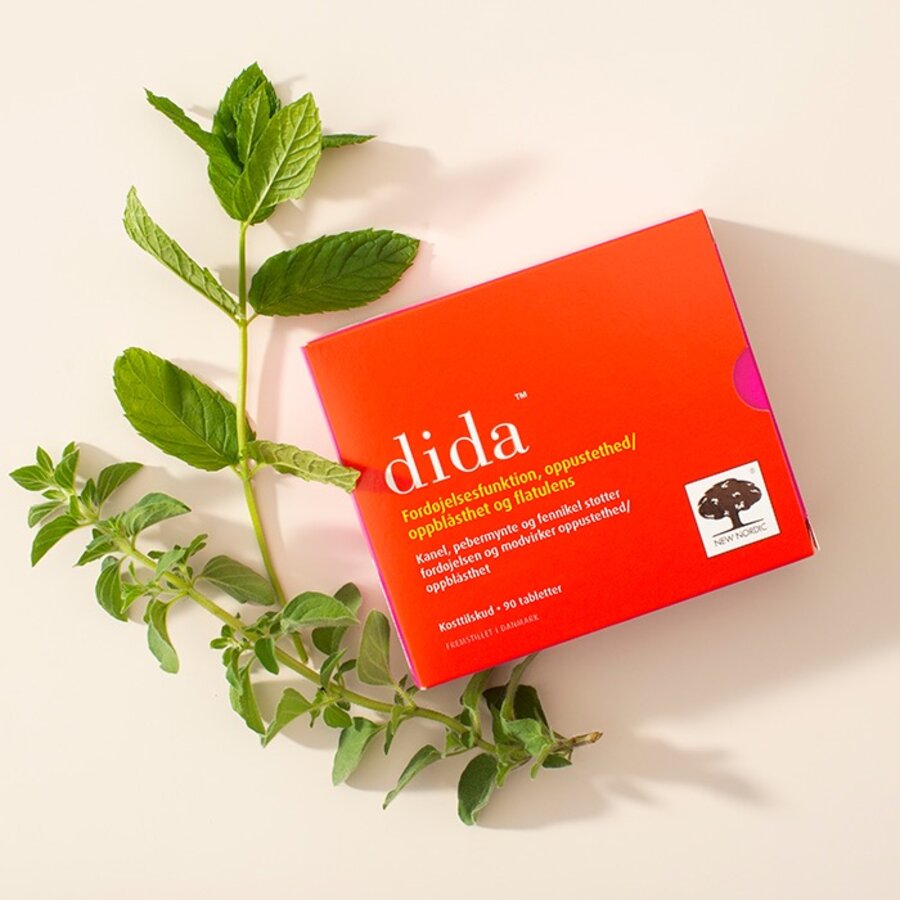 New Nordic Dida 90 tab