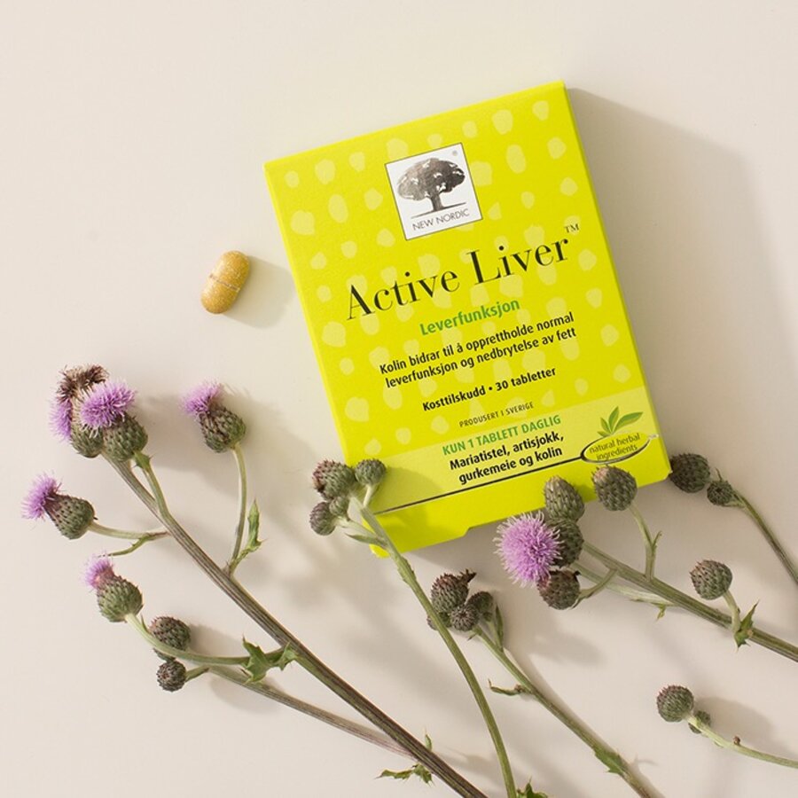 New Nordic Active Liver 120 tab