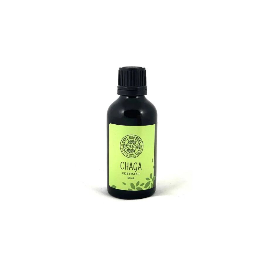 Gry Hammer chaga ekstrakt 50 ml