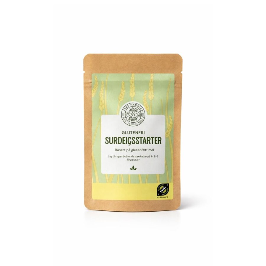 Gry Hammer glutenfri surdeigsstrater 40 g