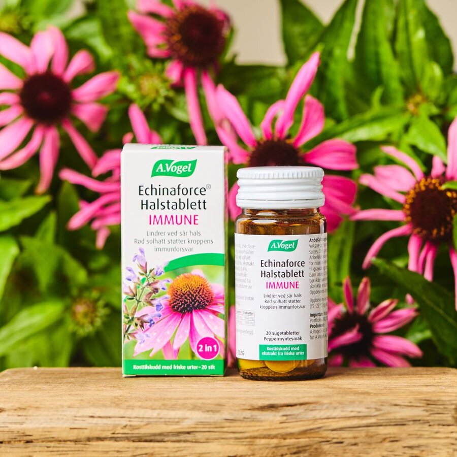 Vogel Echinaforce Immune Halstablett 20 tab