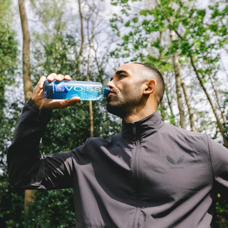 Voss Vann plus still 500 ml